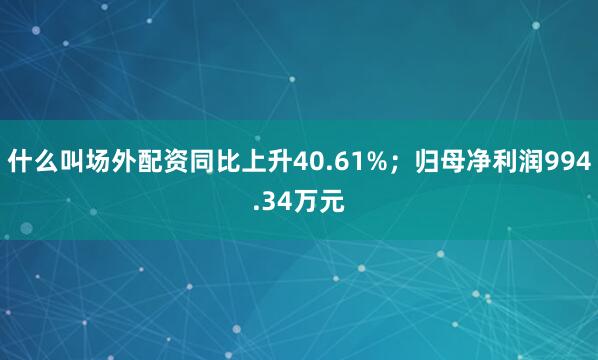 什么叫场外配资同比上升40.61%；归母净利润994.34万元
