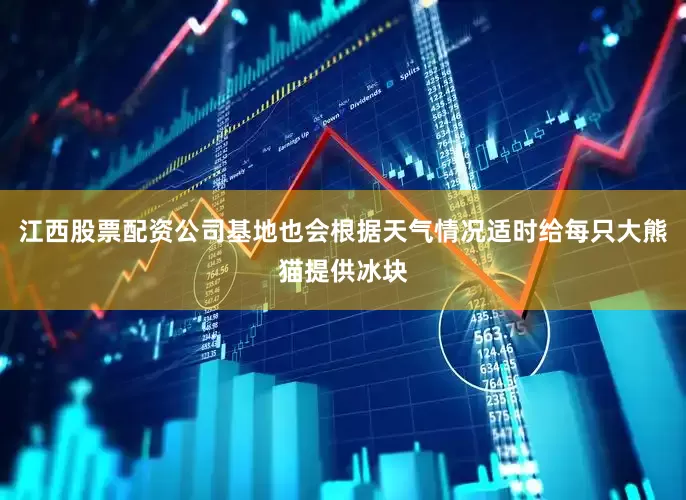 江西股票配资公司基地也会根据天气情况适时给每只大熊猫提供冰块